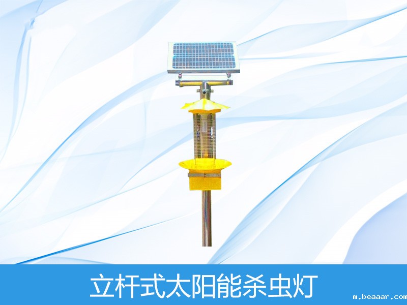  立杆式太阳能杀虫灯