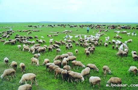 草原生态气象站厂家