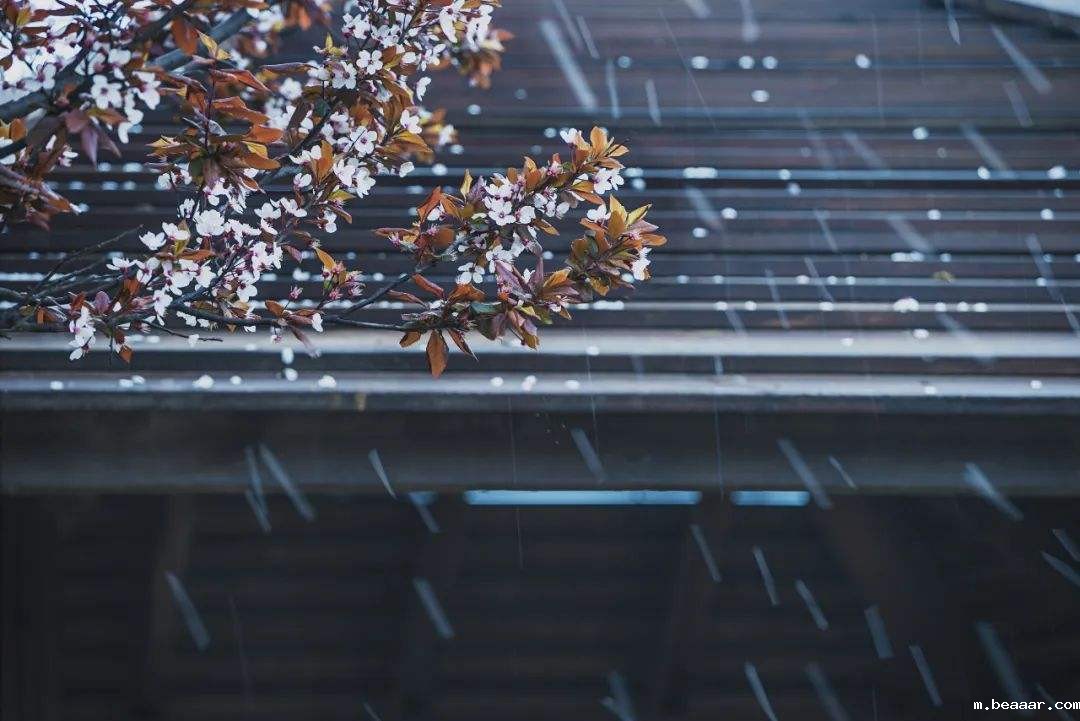 自动气象站厂家