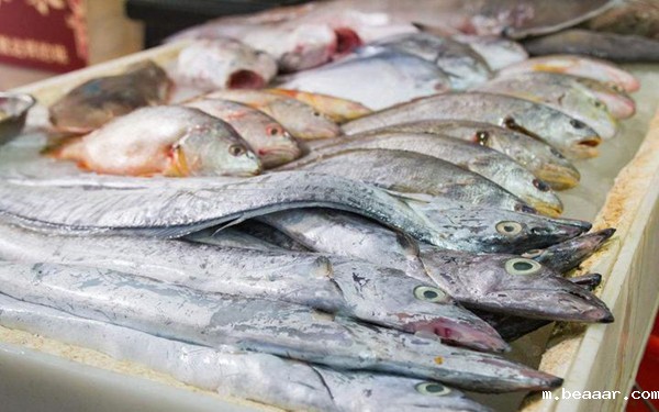 水产品药物残留检测仪 水产品药物残留检测仪