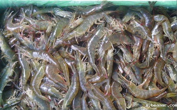 水产品检测仪器设备