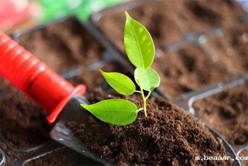 便携式土壤养分速测仪改良土壤施肥工作 便携式土壤养分速测仪改良土壤施肥工作