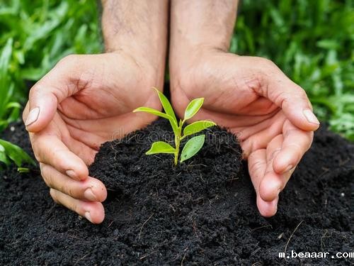 土壤检测仪器厂家