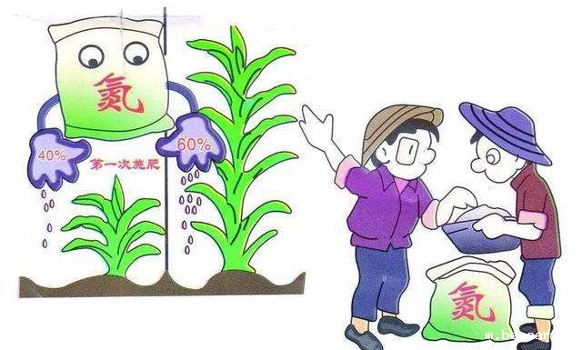 土壤检测设备仪器 土壤检测设备仪器