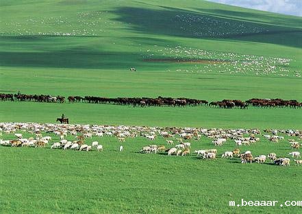 草原气象环境监测系统 草原气象环境监测系统