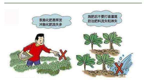 测土配方施肥仪价格 测土配方施肥仪价格