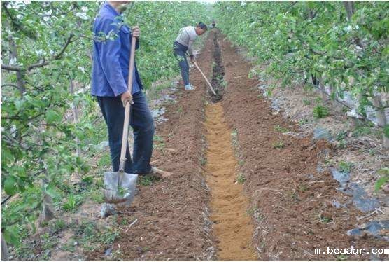 土壤施肥检测仪提高肥料的利用率