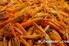 吉林检出9批次重金属超标海鲜，重金属污染防不胜防