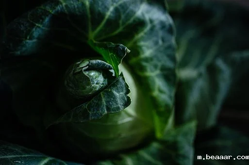 1618451067120907.png 菜.png