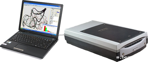 植物根系分析系统