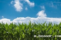 精准农业是什么？一篇文章带您了解