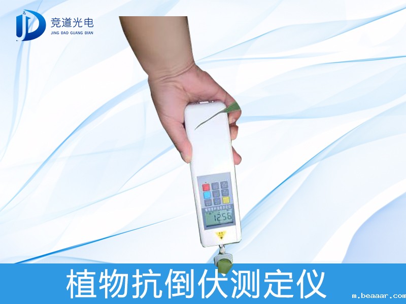 植物茎秆 植物茎秆