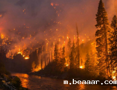 JD-SLQX森林气象站防范森林火灾