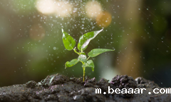 农业气象站如何进行数据处理