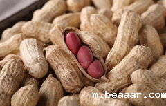 黄曲霉素检测仪防控家禽中毒