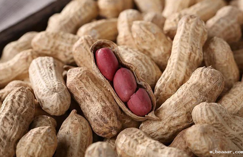 黄曲霉素 黄曲霉素