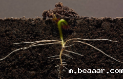 为什么要进行土壤有机质检测？