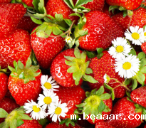 微流控农残检测仪检测农残新技术